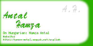 antal hamza business card